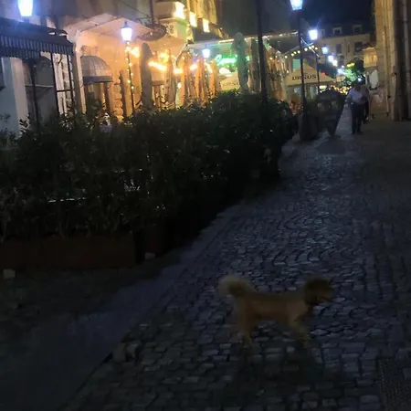 Charming Quiet Coltea Old Town In The Centre Of