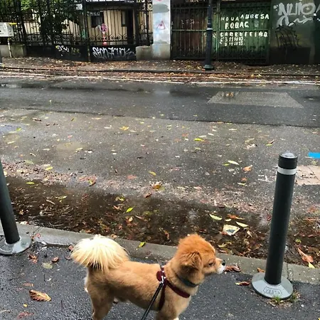 Charming Quiet Coltea Old Town In The Centre Of Apartamento Bucarest