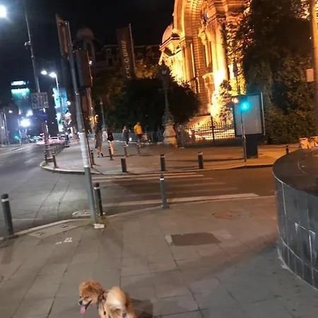 Charming Quiet Coltea Old Town In The Centre Of *