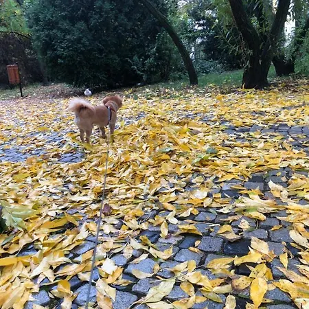 Charming Quiet Coltea Old Town In The Centre Of Appartamento