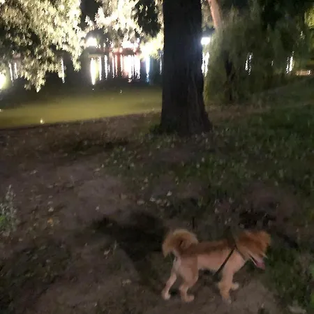 Appartamento Charming Quiet Coltea Old Town In The Centre Of Bucarest