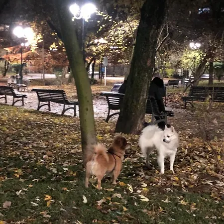 Charming Quiet Coltea Old Town In The Centre Of Bucarest
