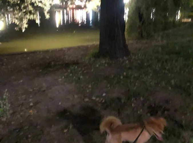 Apartament Charming Quiet Coltea Old Town In The Centre Of Bucureşti