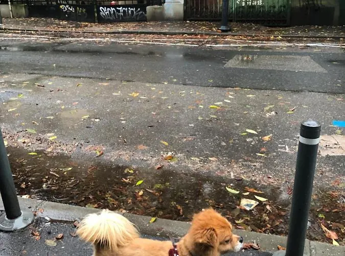 Charming Quiet Coltea Old Town In The Centre Of Lejlighed Bukarest