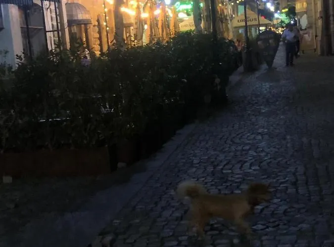 Charming Quiet Coltea Old Town In The Centre Of