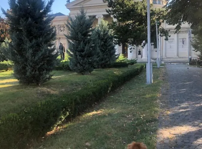 Apartment Charming Quiet Coltea Old Town In The Centre Of