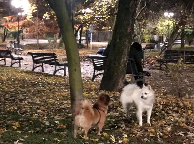 Charming Quiet Coltea Old Town In The Centre Of Bukarest