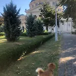 Апартаменти Charming Quiet Coltea Old Town In The Centre Of